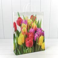 Пакет мягкий пластик Женский (ассортимент) 32*42*10 1/20 1/200 Арт: BAL-1 - Пакет мягкий пластик Женский (ассортимент) 32*42*10 1/20 1/200 Арт: BAL-1